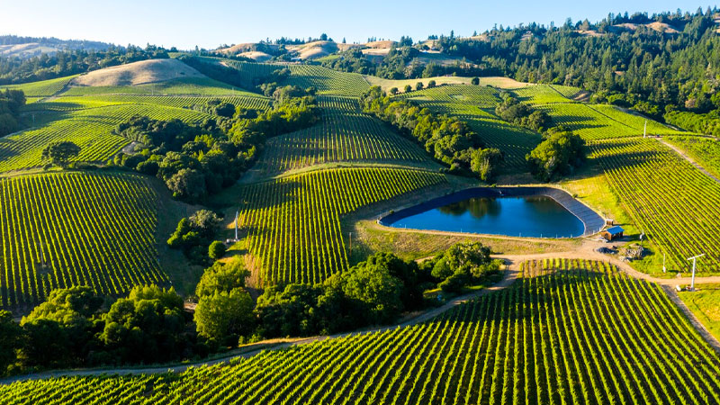 Napa Valley